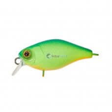 ILL - Vob. CHUBBY 38 Blue Back Chartreuse